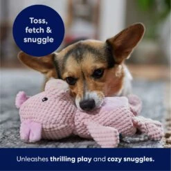 Frisco Pig Textured Plush Squeaky Dog Toy -Pup Haven Sales Store 174695 PT4. AC SS1800 V1695670689