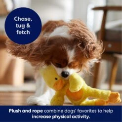 Frisco Duck Plush With Inside Rope Squeaky Dog Toy 10 Frisco Duck Plush With Inside Rope Squeaky Dog Toy -Pup Haven Sales Store 174723 PT4. AC SS1800 V1695671059