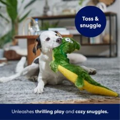Frisco Alligator Wagazoo Plush Squeaky Dog Toy 10 Frisco Alligator Wagazoo Plush Squeaky Dog Toy -Pup Haven Sales Store 174751 PT4. AC SS1800 V1695659148