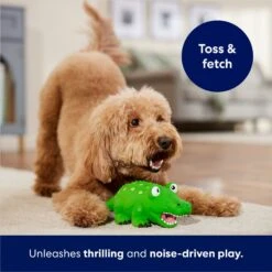 Frisco Alligator Latex Squeaky Dog Toy 8 Frisco Alligator Latex Squeaky Dog Toy -Pup Haven Sales Store 174772 PT3. AC SS1800 V1686579212