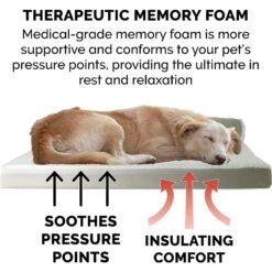 FurHaven Two-Tone Deluxe Chaise Memory Top Cat & Dog Bed With Removable Cover 15 FurHaven Two-Tone Deluxe Chaise Memory Top Cat & Dog Bed With Removable Cover -Pup Haven Sales Store 176268 PT6. AC SS1800 V1606819932