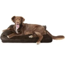 FurHaven Plush Deluxe Chaise Cooling Gel Cat & Dog Bed With Removable Cover -Pup Haven Sales Store 178937 PT3. AC SS1800 V1703798762