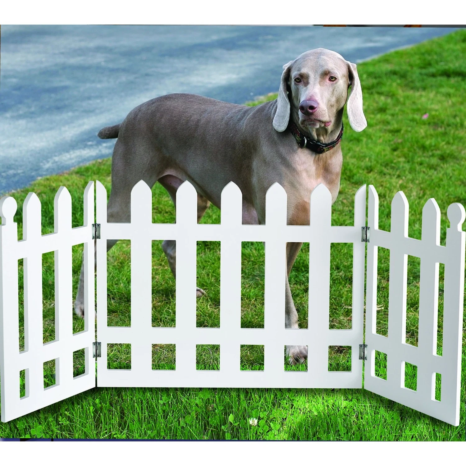 Etna Picket Fence Adjustable Pet Gate, White 2 Etna Picket Fence Adjustable Pet Gate, White - Image 2