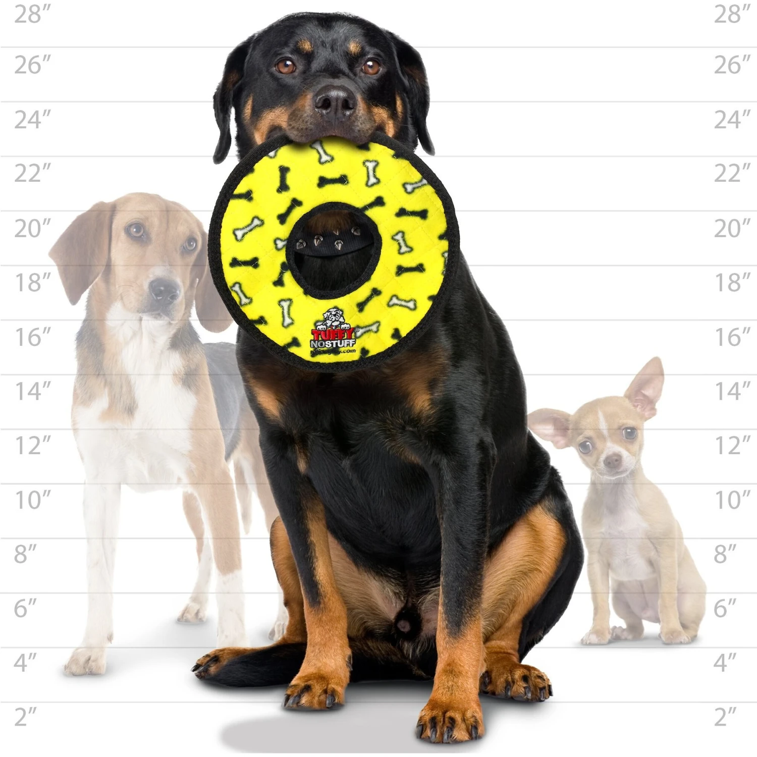 Tuffy's No Stuff Ultimate Ring Bone Squeaky Plush Dog Toy 4 Tuffy's No Stuff Ultimate Ring Bone Squeaky Plush Dog Toy - Image 4