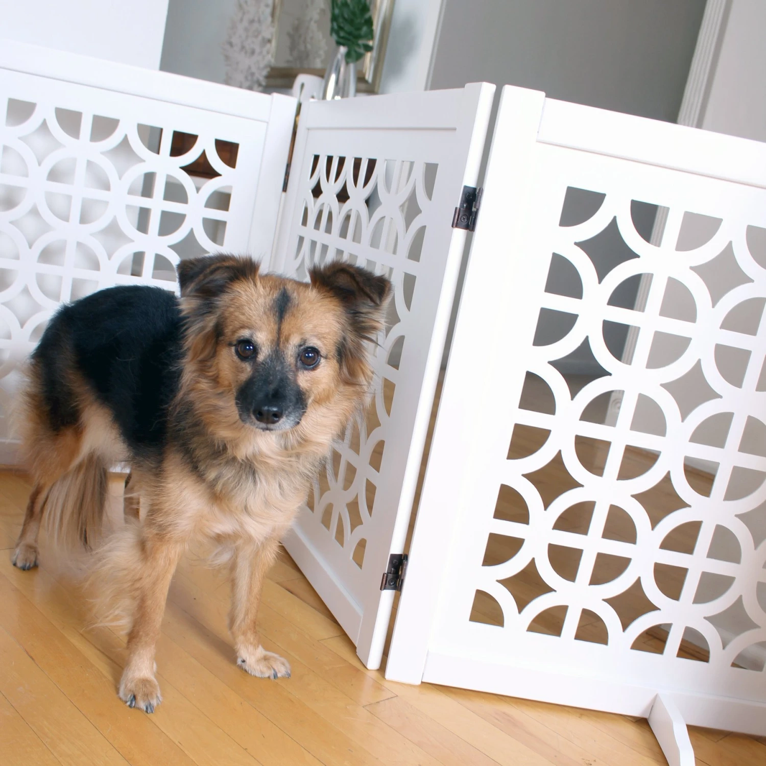 Primetime Petz Palm Springs Designer Pet Gate 3 Primetime Petz Palm Springs Designer Pet Gate - Image 3