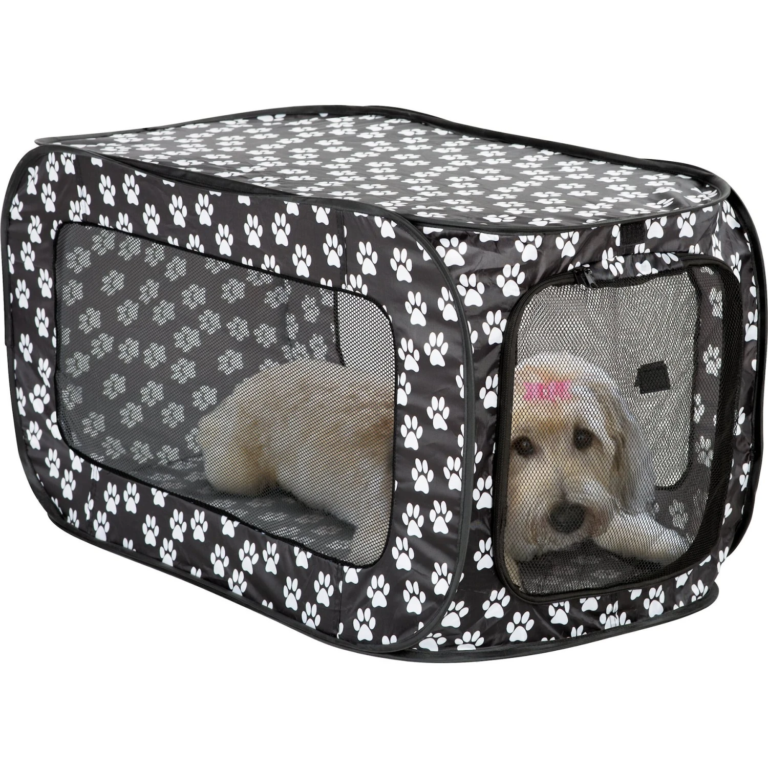 Etna Pop-Open Single Door Collapsible Soft-Sided Dog Crate 4 Etna Pop-Open Single Door Collapsible Soft-Sided Dog Crate - Image 4