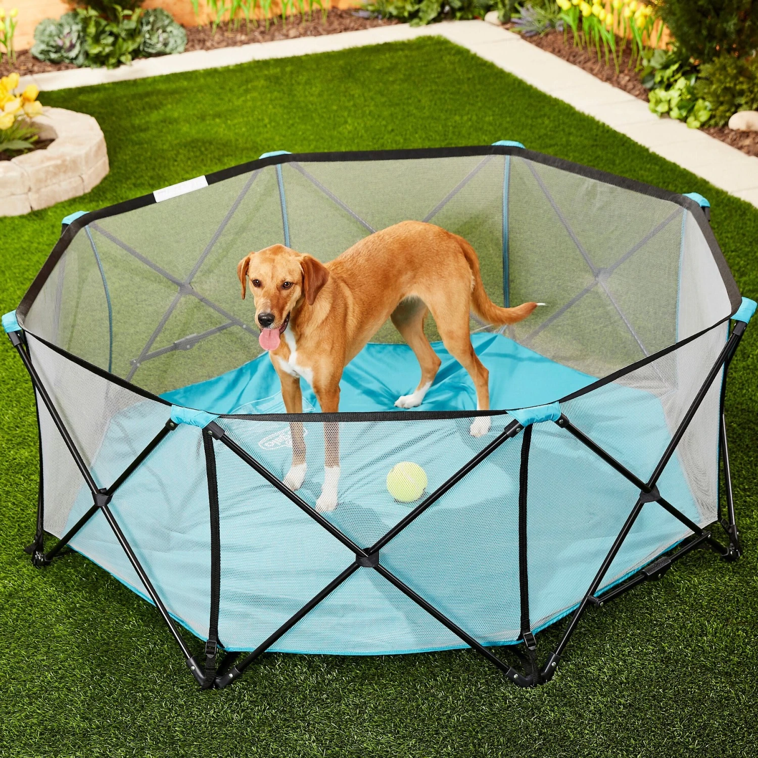 Regalo Pet Products My Play Portable Soft-sided Dog & Cat Playpen 1 Regalo Pet Products My Play Portable Soft-sided Dog & Cat Playpen
