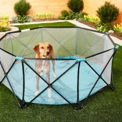 Regalo Pet Products My Play Portable Soft-sided Dog & Cat Playpen 9 Regalo Pet Products My Play Portable Soft-sided Dog & Cat Playpen -Pup Haven Sales Store 192142 PT4. AC SS1800 V1582320084