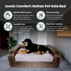 Iconic Pet Rattan Sofa Cat & Dog Bed With Removable Cover, Caramel & Mocha 9 Iconic Pet Rattan Sofa Cat & Dog Bed With Removable Cover, Caramel & Mocha -Pup Haven Sales Store 192466 PT4. AC SS1800 V1568755958
