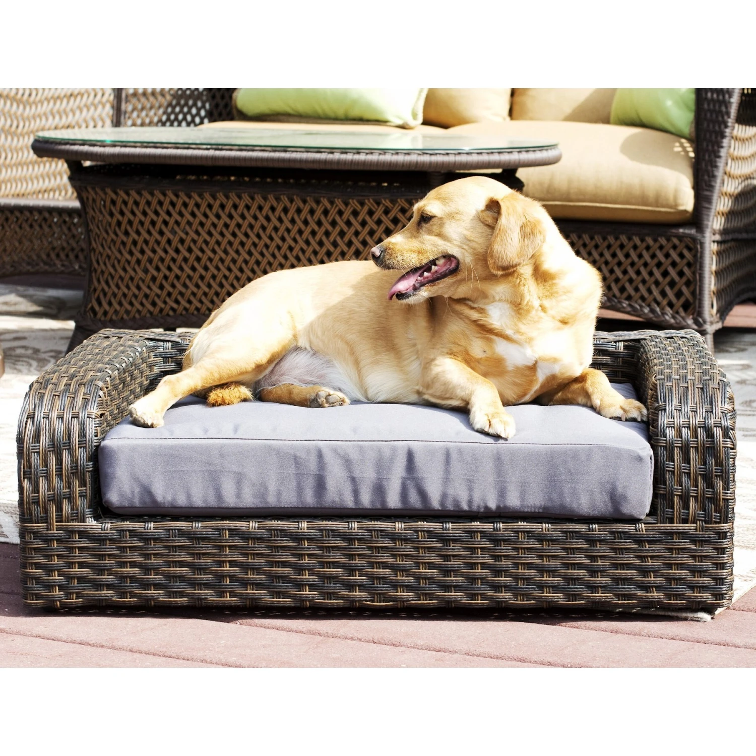 Iconic Pet Rattan Sofa Cat & Dog Bed With Removable Cover, Caramel & Mocha 1 Iconic Pet Rattan Sofa Cat & Dog Bed With Removable Cover, Caramel & Mocha