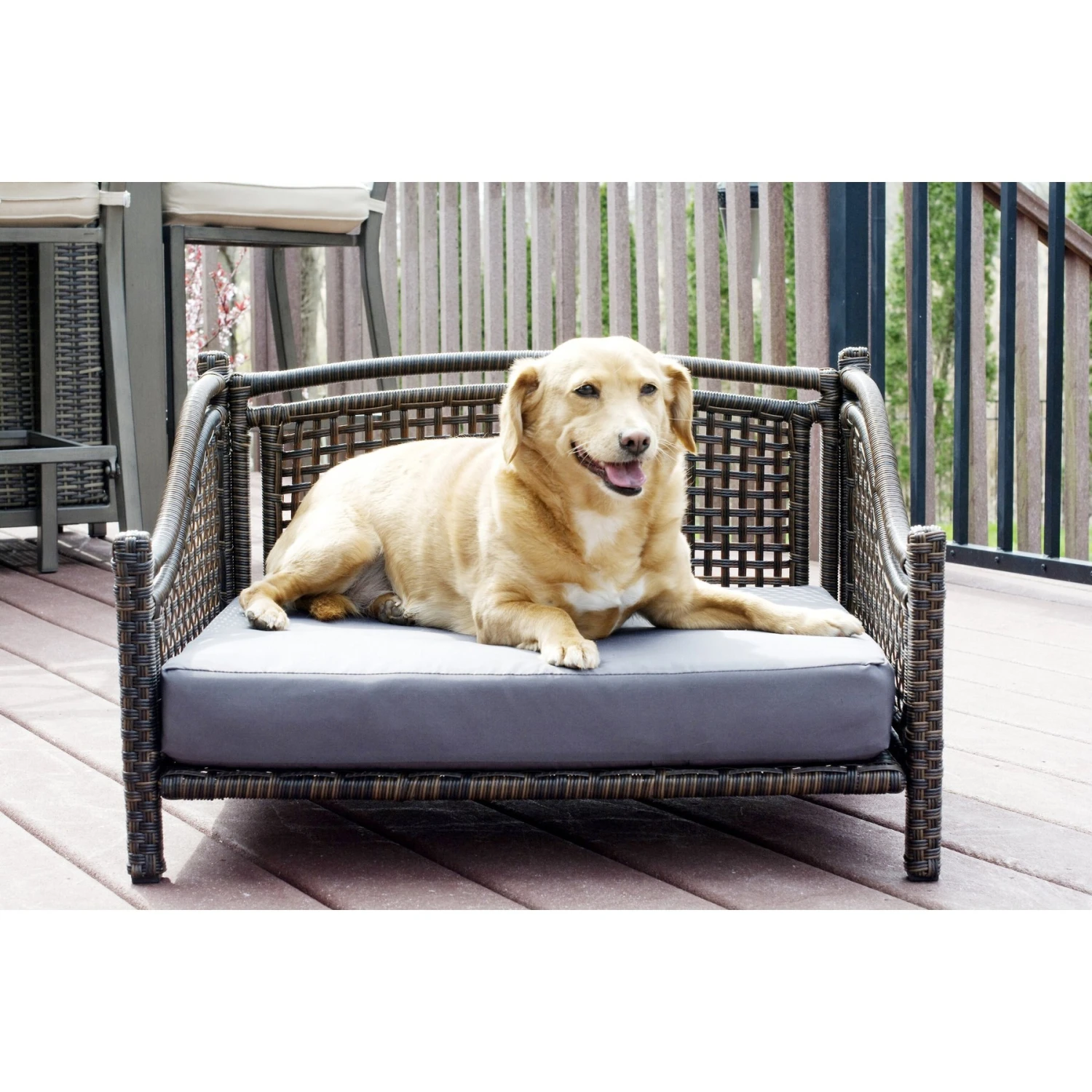 Iconic Pet Maharaja Rattan Sofa Cat & Dog Bed With Removable Cover, Caramel & Mocha 1 Iconic Pet Maharaja Rattan Sofa Cat & Dog Bed With Removable Cover, Caramel & Mocha