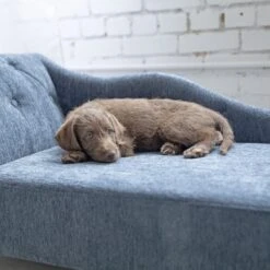 La-Z-Boy Chaise Furniture Sofa Dog Bed -Pup Haven Sales Store 192829 PT4. AC SS1800 V1597880835