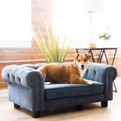 La-Z-Boy Furniture Sofa Dog Bed 14 La-Z-Boy Furniture Sofa Dog Bed -Pup Haven Sales Store 192832 PT6. AC SS1800 V1605319320