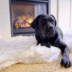 PawBrands PupRug Faux Fur Curve Orthopedic Pillow Dog Bed With Removable Cover, White -Pup Haven Sales Store 194376 PT3. AC SS1800 V1566829947