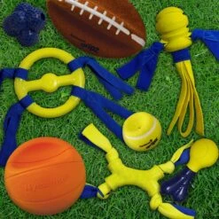 Nylabone Power Play Basketball B-Ball Gripz Dog Toy -Pup Haven Sales Store 195434 PT5. AC SS1800 V1685647141
