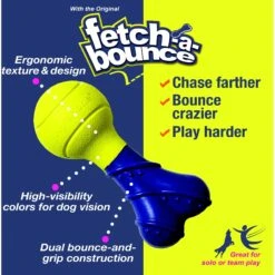 Nylabone Power Play Rubber Fetch-a-Bounce Dog Toy -Pup Haven Sales Store 195443 PT2. AC SS1800 V1685645742