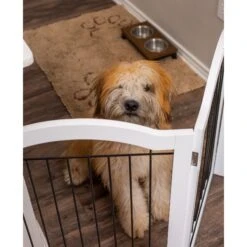 Internet's Best Arched Top Wire Dog Gate, 30-in -Pup Haven Sales Store 200429 PT4. AC SS1800 V1568308059