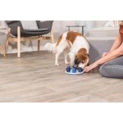 TRIXIE Solitaire Dog Activity Strategy Game Dog Toy -Pup Haven Sales Store 207413 PT5. AC SS1800 V1668617385