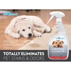 Paw Inspired Professional Dog Stain & Odor Eliminator Spray, 32-oz Bottle 8 Paw Inspired Professional Dog Stain & Odor Eliminator Spray, 32-oz Bottle -Pup Haven Sales Store 208508 PT2. AC SS1800 V1582726074