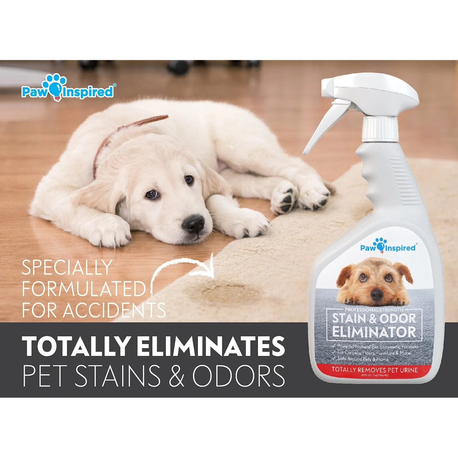 Paw Inspired Professional Dog Stain & Odor Eliminator Spray, 32-oz Bottle 3 Paw Inspired Professional Dog Stain & Odor Eliminator Spray, 32-oz Bottle - Image 3