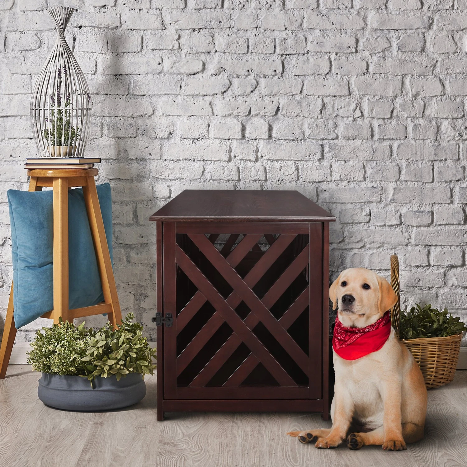 Casual Home Modern Lattice Single Door Furniture Style Dog Crate & End Table 1 Casual Home Modern Lattice Single Door Furniture Style Dog Crate & End Table