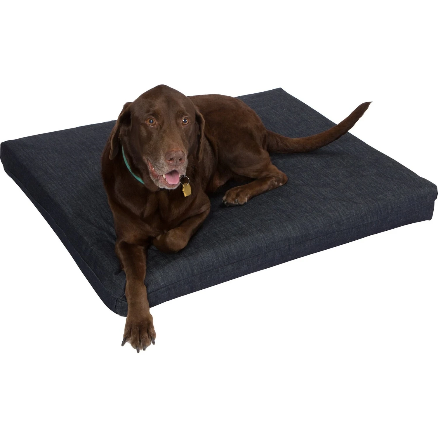 Pet Support Systems Orthopedic Pillow Dog Bed 1 Pet Support Systems Orthopedic Pillow Dog Bed