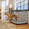 Frisco Heavy Duty Fold & Carry Double Door Collapsible Wire Dog Crate & Mat Kit