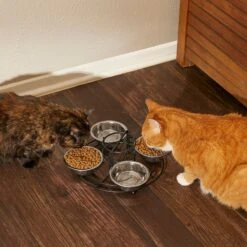 Frisco Multi Pet Feeding 4-Bowls Stainless Steel Dog & Cat Bowls, 0.5 Cup 13 Frisco Multi Pet Feeding 4-Bowls Stainless Steel Dog & Cat Bowls, 0.5 Cup -Pup Haven Sales Store 213787 PT6. AC SS1800 V1599091021