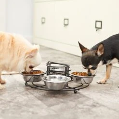 Frisco Multi Pet Feeding 4-Bowls Stainless Steel Dog & Cat Bowls, 0.5 Cup 14 Frisco Multi Pet Feeding 4-Bowls Stainless Steel Dog & Cat Bowls, 0.5 Cup -Pup Haven Sales Store 213787 PT7. AC SS1800 V1599090064