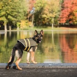 US ARMY Dog Life Vest, Dark Camo 7 US ARMY Dog Life Vest, Dark Camo -Pup Haven Sales Store 215074 PT5. AC SS1800 V1605738741