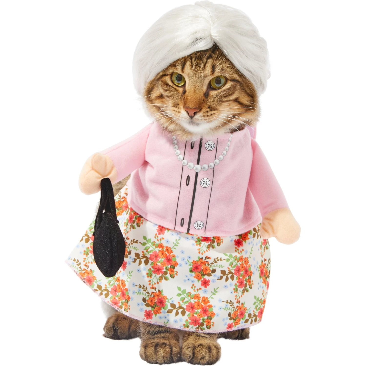 Frisco Front Walking Granny Dog & Cat Costume 1 Frisco Front Walking Granny Dog & Cat Costume