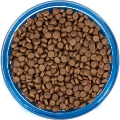 Frisco Chevron Design Glass Bowl With Silicone Sleeve -Pup Haven Sales Store 216049 PT4. AC SS1800 V1591020735