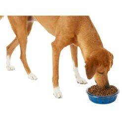 Frisco Chevron Design Glass Bowl With Silicone Sleeve -Pup Haven Sales Store 216049 PT6. AC SS1800 V1605654757