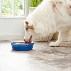 Frisco Chevron Design Glass Bowl With Silicone Sleeve -Pup Haven Sales Store 216049 PT7. AC SS1800 V1605664319