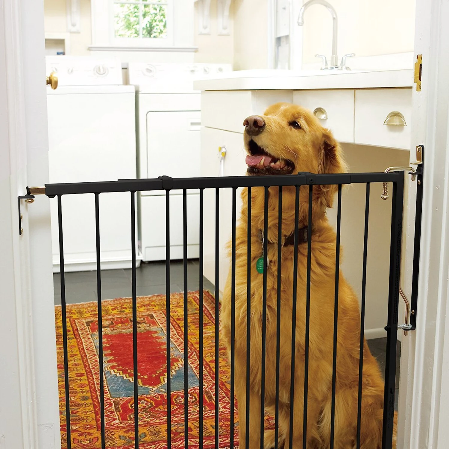Cardinal Gates Duragate Dog Gate 1 Cardinal Gates Duragate Dog Gate