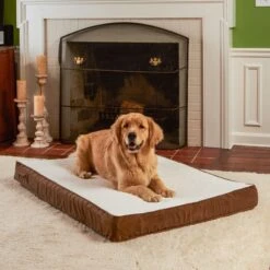 Happy Hounds Otis Orthopedic Pillow Dog Bed With Removable Cover