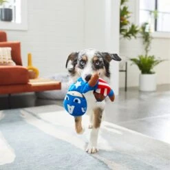 Marvel 's Captain America Bungee Plush Squeaky Dog Toy -Pup Haven Sales Store 220611 PT2. AC SS1800 V1612365186
