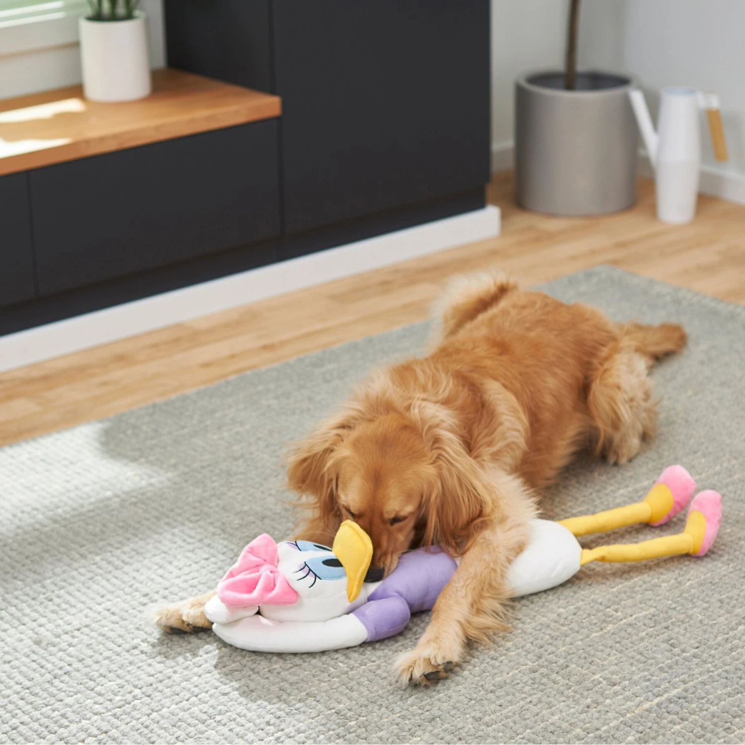 Disney Daisy Duck Wagazoo Plush Squeaky Dog Toy, Extra Long 3 Disney Daisy Duck Wagazoo Plush Squeaky Dog Toy, Extra Long - Image 3