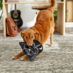 STAR WARS DARTH VADER Flat Plush Squeaky Dog Toy 7 STAR WARS DARTH VADER Flat Plush Squeaky Dog Toy -Pup Haven Sales Store 220653 PT3. AC SS1800 V1615586195