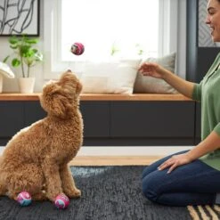 Disney Minnie Mouse Fetch Squeaky Tennis Ball Dog Toy, 3 Count 5 Disney Minnie Mouse Fetch Squeaky Tennis Ball Dog Toy, 3 Count -Pup Haven Sales Store 220803 PT2. AC SS1800 V1612366616