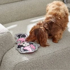 Disney Minnie Mouse Flat Plush Squeaky Dog Toy 5 Disney Minnie Mouse Flat Plush Squeaky Dog Toy -Pup Haven Sales Store 220805 PT2. AC SS1800 V1612364883