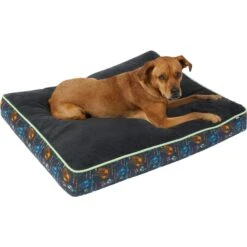 STAR WARS THE MANDALORIAN GROGU Pillow Cat & Dog Bed 7 STAR WARS THE MANDALORIAN GROGU Pillow Cat & Dog Bed -Pup Haven Sales Store 222217 PT2. AC SS1800 V1611758234