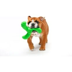 Hartz Dura Play Boomerang Bacon Scented Squeaky Latex Dog Toy, Color Varies 13 Hartz Dura Play Boomerang Bacon Scented Squeaky Latex Dog Toy, Color Varies -Pup Haven Sales Store 222813 PT4. AC SS1800 V1661201463