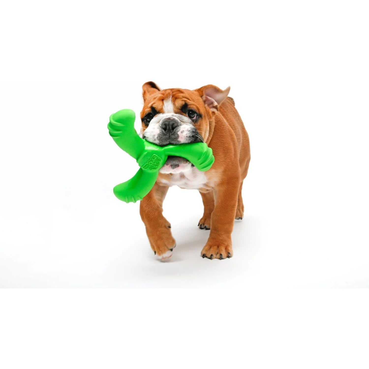 Hartz Dura Play Boomerang Bacon Scented Squeaky Latex Dog Toy, Color Varies 5 Hartz Dura Play Boomerang Bacon Scented Squeaky Latex Dog Toy, Color Varies - Image 5