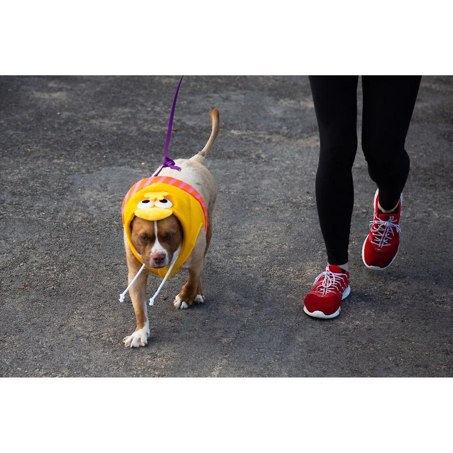 Pet Krewe Big Bird Dog & Cat Costume 3 Pet Krewe Big Bird Dog & Cat Costume - Image 3
