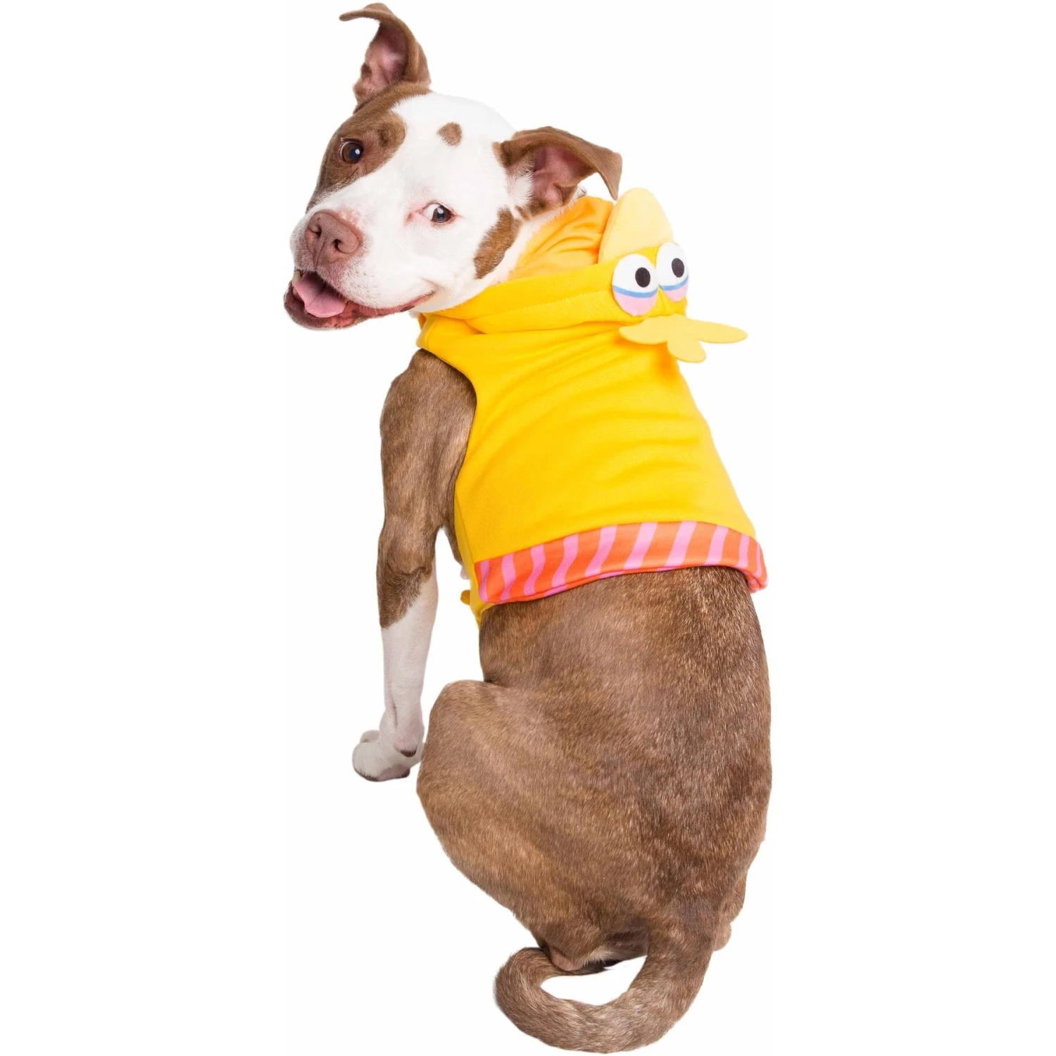Pet Krewe Big Bird Dog & Cat Costume 8 Pet Krewe Big Bird Dog & Cat Costume - Image 8