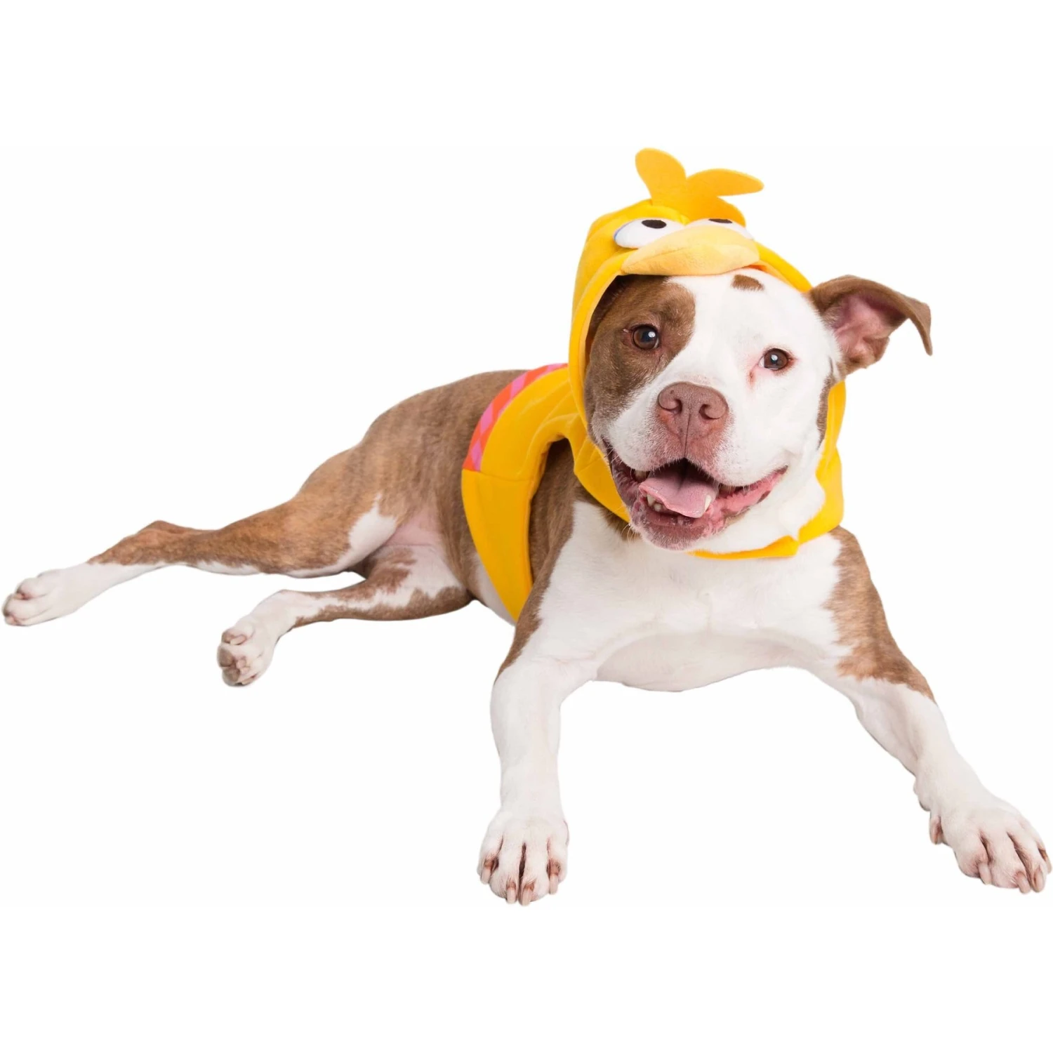 Pet Krewe Big Bird Dog & Cat Costume 9 Pet Krewe Big Bird Dog & Cat Costume - Image 9