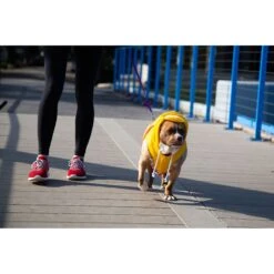 Pet Krewe Big Bird Dog & Cat Costume 12 Pet Krewe Big Bird Dog & Cat Costume -Pup Haven Sales Store 223177 pt3. AC SS1800 V1583163476