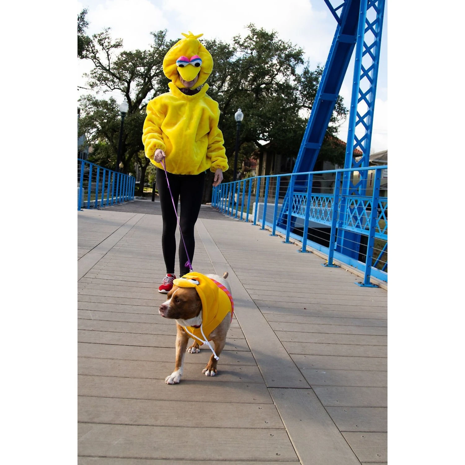 Pet Krewe Big Bird Dog & Cat Costume 5 Pet Krewe Big Bird Dog & Cat Costume - Image 5