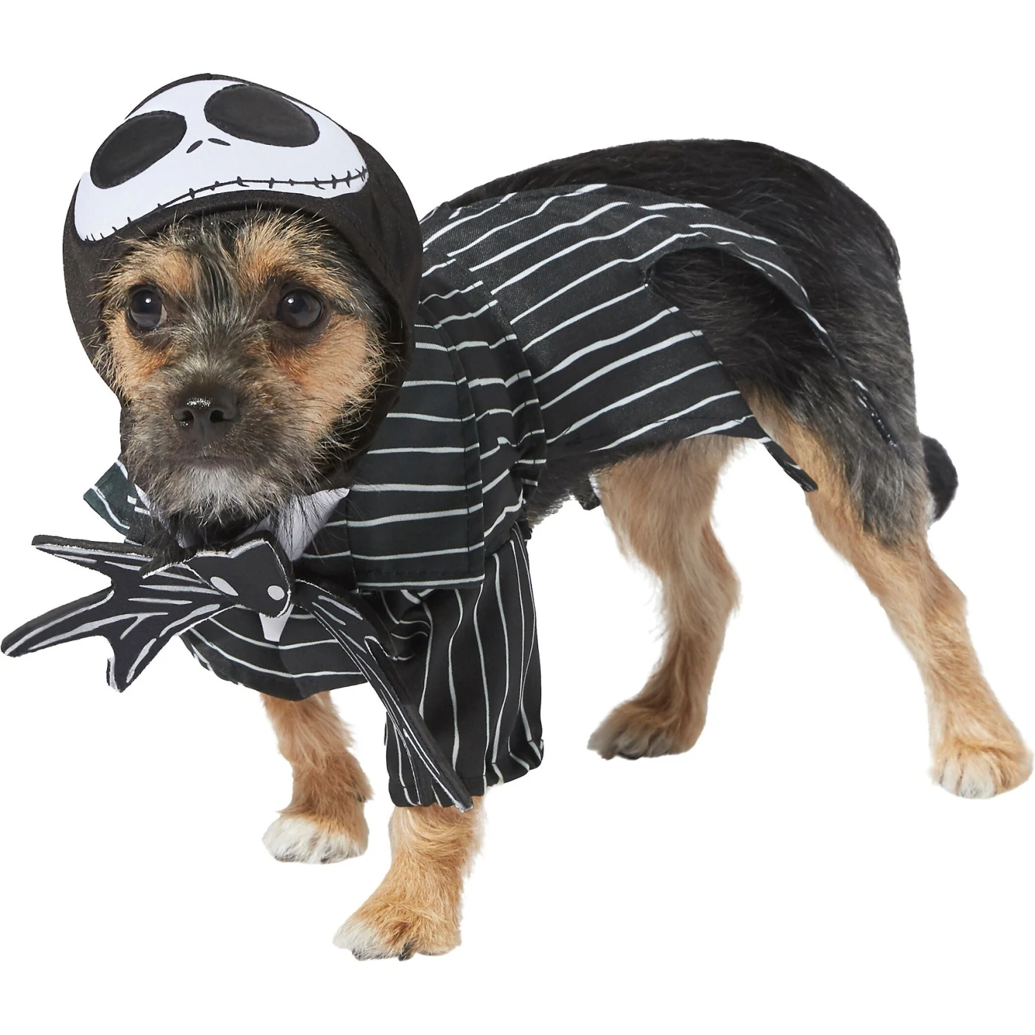 Rubie's Costume Company Jack Skellington Dog Costume 1 Rubie's Costume Company Jack Skellington Dog Costume